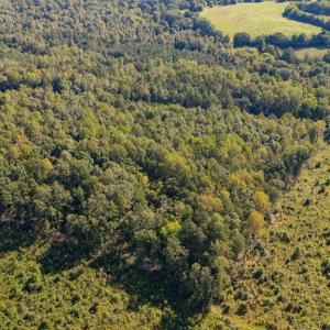Photo #6 of 00 Mountain Hall, Crewe, VA 17.0 acres