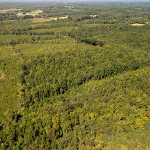 Photo #9 of 00 Mountain Hall, Crewe, VA 17.0 acres