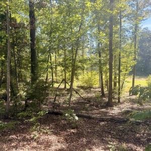 Photo #3 of Watson Blvd, Meherrin, VA 2.0 acres