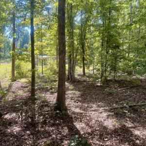 Photo #4 of Watson Blvd, Meherrin, VA 2.0 acres