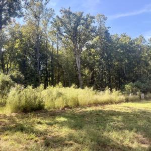 Photo #5 of Watson Blvd, Meherrin, VA 2.0 acres