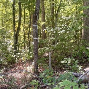 Photo #6 of Watson Blvd, Meherrin, VA 2.0 acres