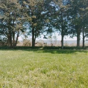 Photo #2 of Lot 3 LAUGHING GULL WAVE, ACCOMAC, VA 1.9 acres