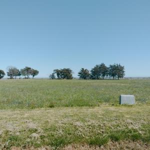 Photo #6 of Lot 3 LAUGHING GULL WAVE, ACCOMAC, VA 1.9 acres