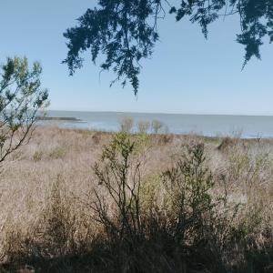 Photo #7 of Lot 3 LAUGHING GULL WAVE, ACCOMAC, VA 1.9 acres