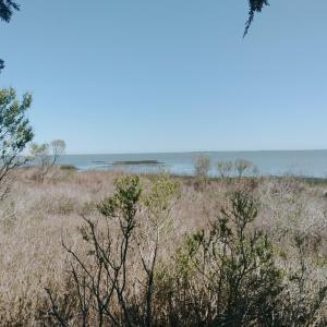 Photo #8 of Lot 3 LAUGHING GULL WAVE, ACCOMAC, VA 1.9 acres