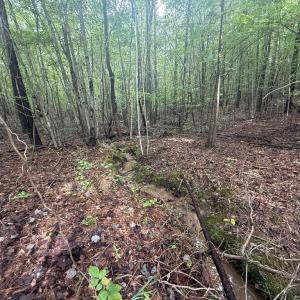 Photo #11 of Westpoint Stevens Rd, Drakes Branch, VA 13.5 acres