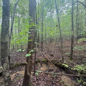 Photo #12 of Westpoint Stevens Rd, Drakes Branch, VA 13.5 acres