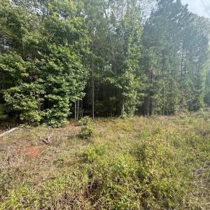 Photo #3 of Westpoint Stevens Rd, Drakes Branch, VA 13.5 acres
