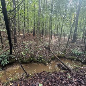 Photo #9 of Westpoint Stevens Rd, Drakes Branch, VA 13.5 acres