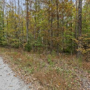 Photo #5 of 00 Pine Ridge Rd, Jetersville, VA 3.1 acres