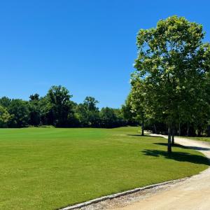 View from back of the lot-Hole 7