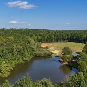 Photo #14 of 5453 Crab Orchard Rd, Keysville, VA 32.1 acres