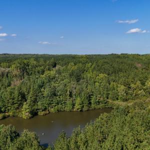 Photo #16 of 5453 Crab Orchard Rd, Keysville, VA 32.1 acres