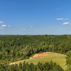 Photo #17 of 5453 Crab Orchard Rd, Keysville, VA 32.1 acres