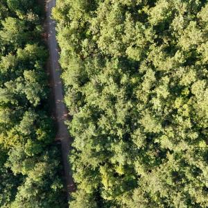 Photo #20 of 5453 Crab Orchard Rd, Keysville, VA 32.1 acres