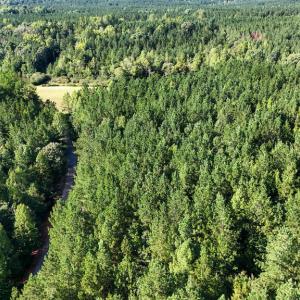 Photo #21 of 5453 Crab Orchard Rd, Keysville, VA 32.1 acres