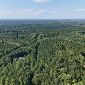 Photo #24 of 5453 Crab Orchard Rd, Keysville, VA 32.1 acres