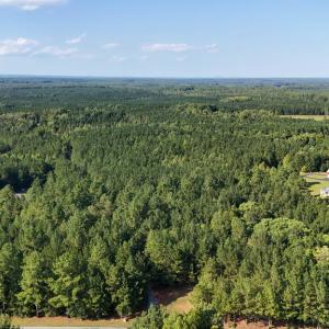 Photo #27 of 5453 Crab Orchard Rd, Keysville, VA 32.1 acres