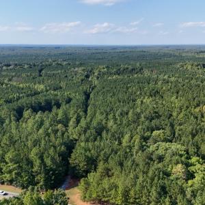 Photo #28 of 5453 Crab Orchard Rd, Keysville, VA 32.1 acres