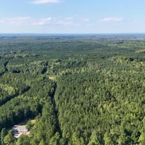 Photo #30 of 5453 Crab Orchard Rd, Keysville, VA 32.1 acres