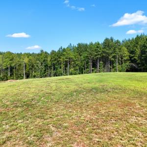 Photo #4 of 5453 Crab Orchard Rd, Keysville, VA 32.1 acres