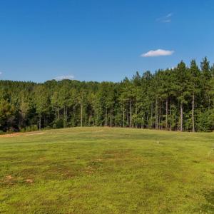 Photo #5 of 5453 Crab Orchard Rd, Keysville, VA 32.1 acres