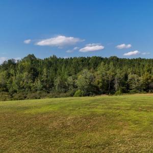 Photo #6 of 5453 Crab Orchard Rd, Keysville, VA 32.1 acres