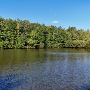 Photo #9 of 5453 Crab Orchard Rd, Keysville, VA 32.1 acres