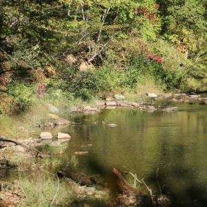 Photo #4 of Hollywood Road, Appomattox, VA 84.4 acres