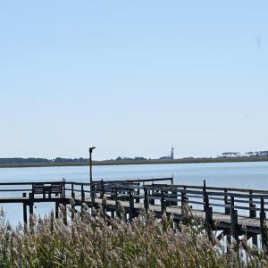 Photo #6 of 13 BAY VIEW LANE, ATLANTIC, VA 0.7 acres