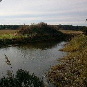 Photo #3 of ALICATO RD, PARKSLEY, VA 4.1 acres