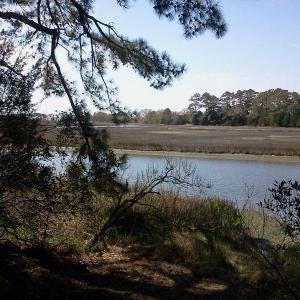 Photo #2 of ALICATO RD, PARKSLEY, VA 9.0 acres