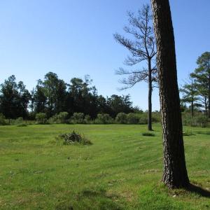 Photo #3 of ALICATO RD, PARKSLEY, VA 3.0 acres