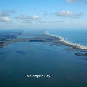 Photo #5 of ALICATO RD, PARKSLEY, VA 4.5 acres