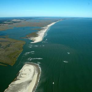 Photo #6 of ALICATO RD, PARKSLEY, VA 4.5 acres