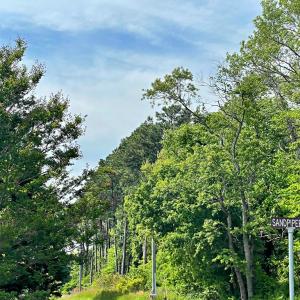 Photo #27 of Lot 29 OYSTER COVE LANE, ATLANTIC, VA 0.8 acres