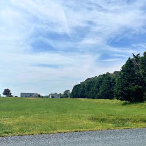 Photo #31 of Lot 29 OYSTER COVE LANE, ATLANTIC, VA 0.8 acres