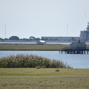 Photo #5 of Lot 29 OYSTER COVE LANE, ATLANTIC, VA 0.8 acres