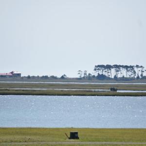 Photo #9 of Lot 29 OYSTER COVE LANE, ATLANTIC, VA 0.8 acres
