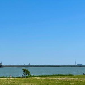 Photo #12 of Lot 29 OYSTER COVE LANE, ATLANTIC, VA 0.8 acres