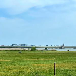 Photo #14 of Lot 29 OYSTER COVE LANE, ATLANTIC, VA 0.8 acres