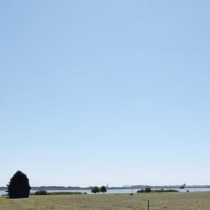 Photo #2 of Lot 29 OYSTER COVE LANE, ATLANTIC, VA 0.8 acres