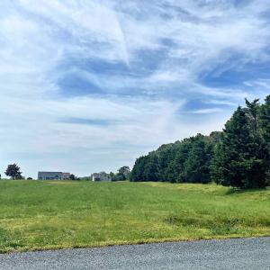 Photo #7 of Lot 29 OYSTER COVE LANE, ATLANTIC, VA 0.8 acres