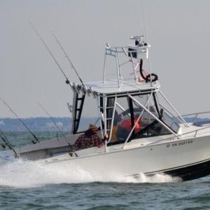 A good day on the bay