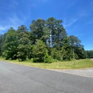 Photo #2 of Lot 82 CORBIN HALL LN, HORNTOWN, VA 3.0 acres