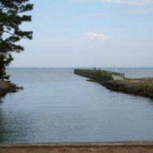 Photo #5 of Lot 82 CORBIN HALL LN, HORNTOWN, VA 3.0 acres