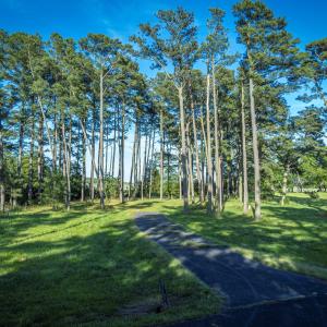 Photo #2 of Lot 9 OCEANVIEW COURT, ACCOMAC, VA 3.5 acres