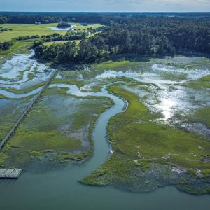 Photo #6 of Lot 9 OCEANVIEW COURT, ACCOMAC, VA 3.5 acres