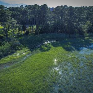 Photo #8 of Lot 9 OCEANVIEW COURT, ACCOMAC, VA 3.5 acres